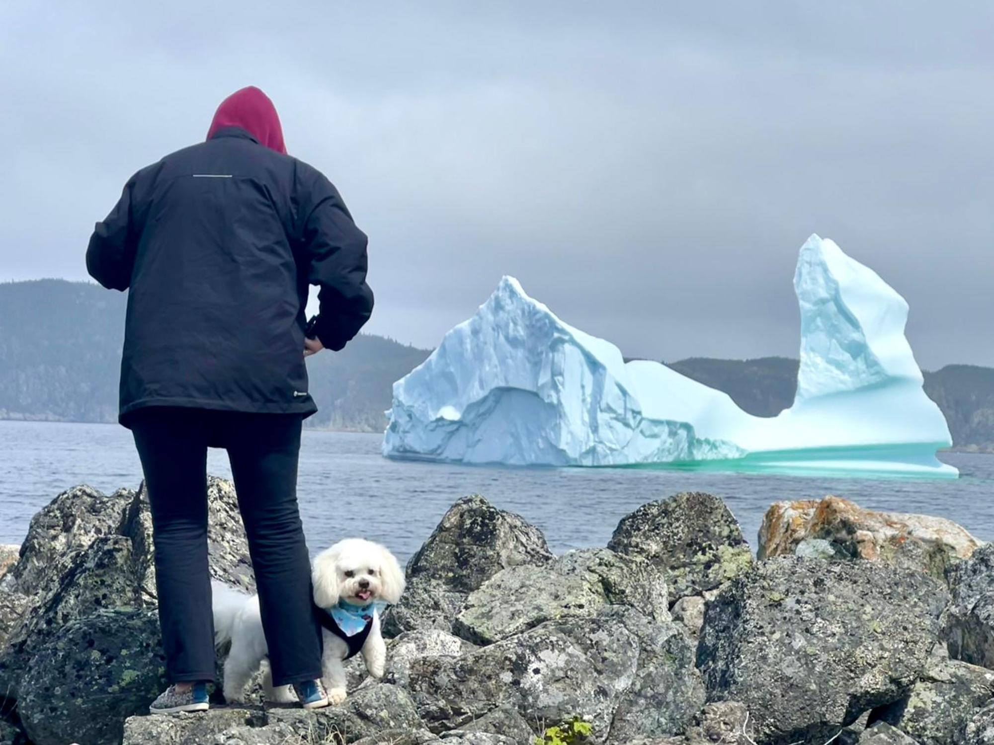 The View Suites And Breakfast In Triton, Newfoundland Pilley's Island Eksteriør billede