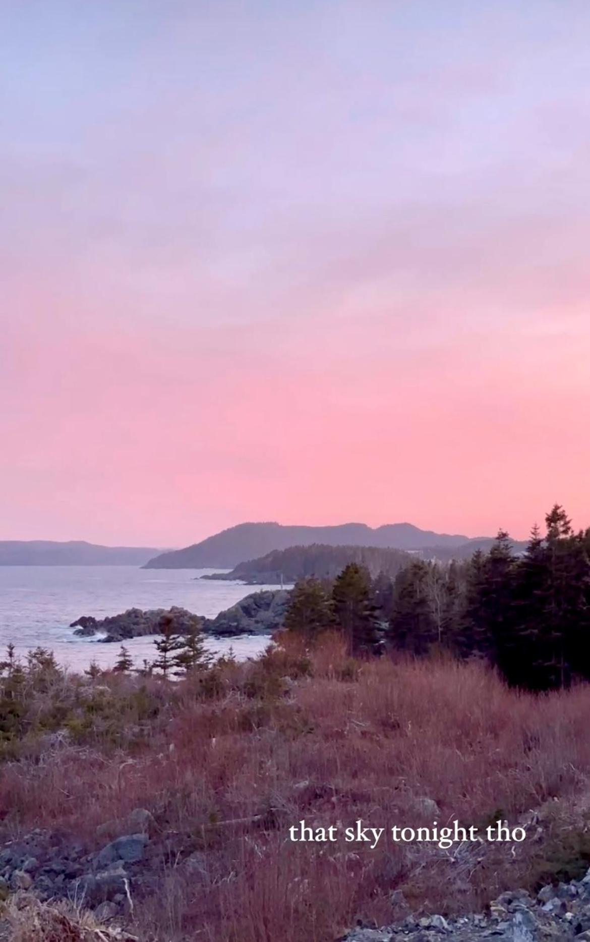 The View Suites And Breakfast In Triton, Newfoundland Pilley's Island Eksteriør billede